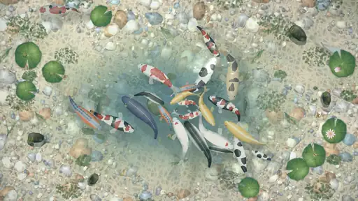 摸鱼池的封面